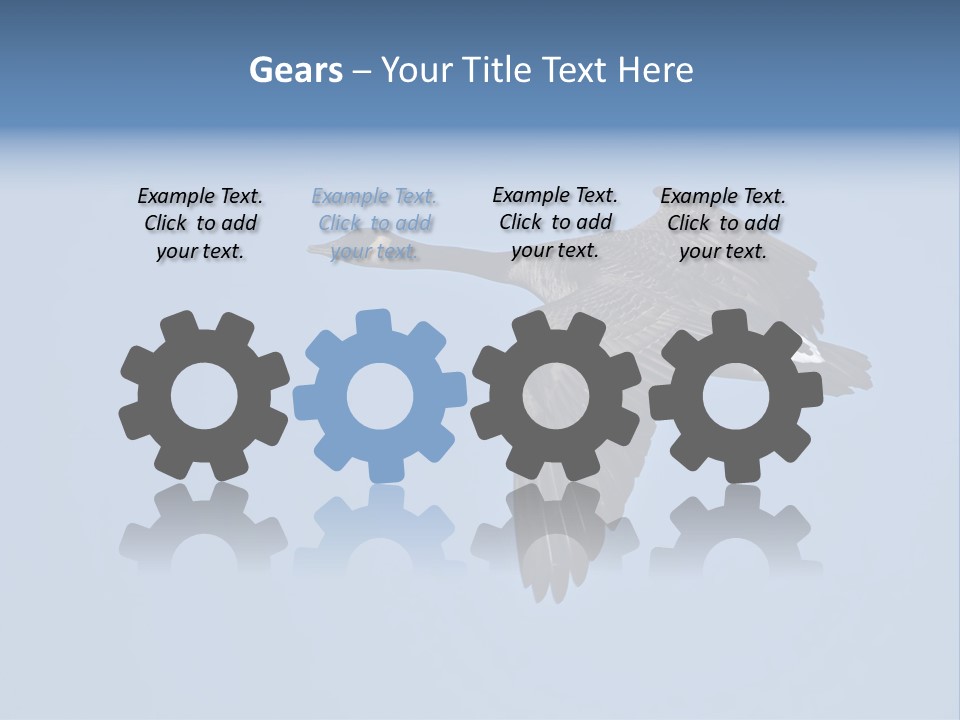 Animal Photography Canada Goose Brown PowerPoint Template