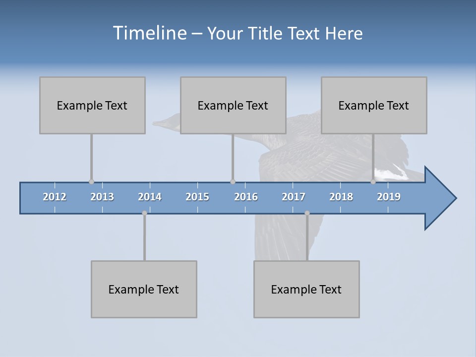 Animal Photography Canada Goose Brown PowerPoint Template