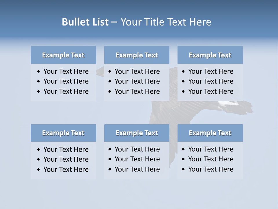 Animal Photography Canada Goose Brown PowerPoint Template