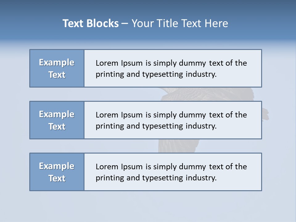 Animal Photography Canada Goose Brown PowerPoint Template