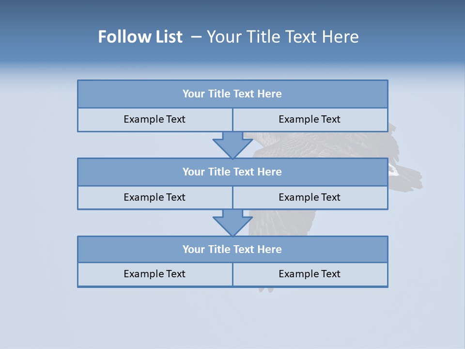 Animal Photography Canada Goose Brown PowerPoint Template