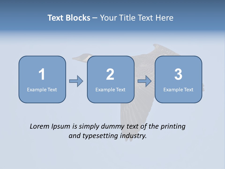 Animal Photography Canada Goose Brown PowerPoint Template