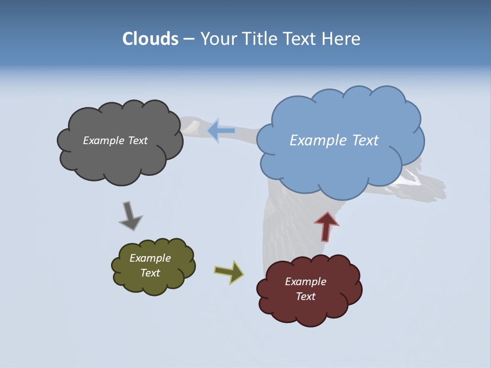 Animal Photography Canada Goose Brown PowerPoint Template