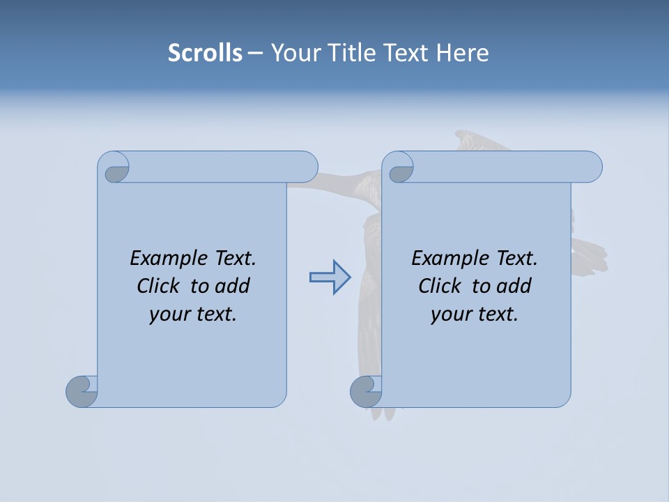 Animal Photography Canada Goose Brown PowerPoint Template