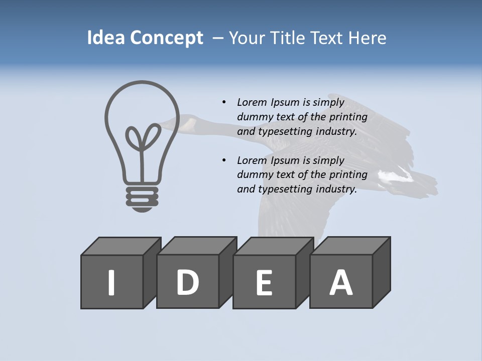 Animal Photography Canada Goose Brown PowerPoint Template