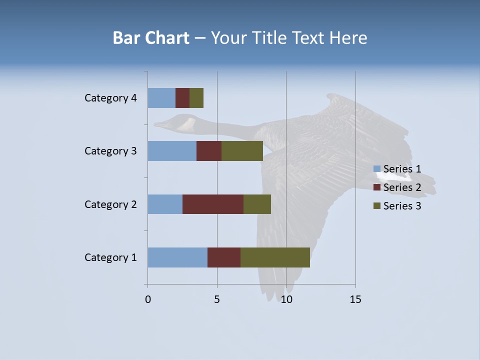 Animal Photography Canada Goose Brown PowerPoint Template