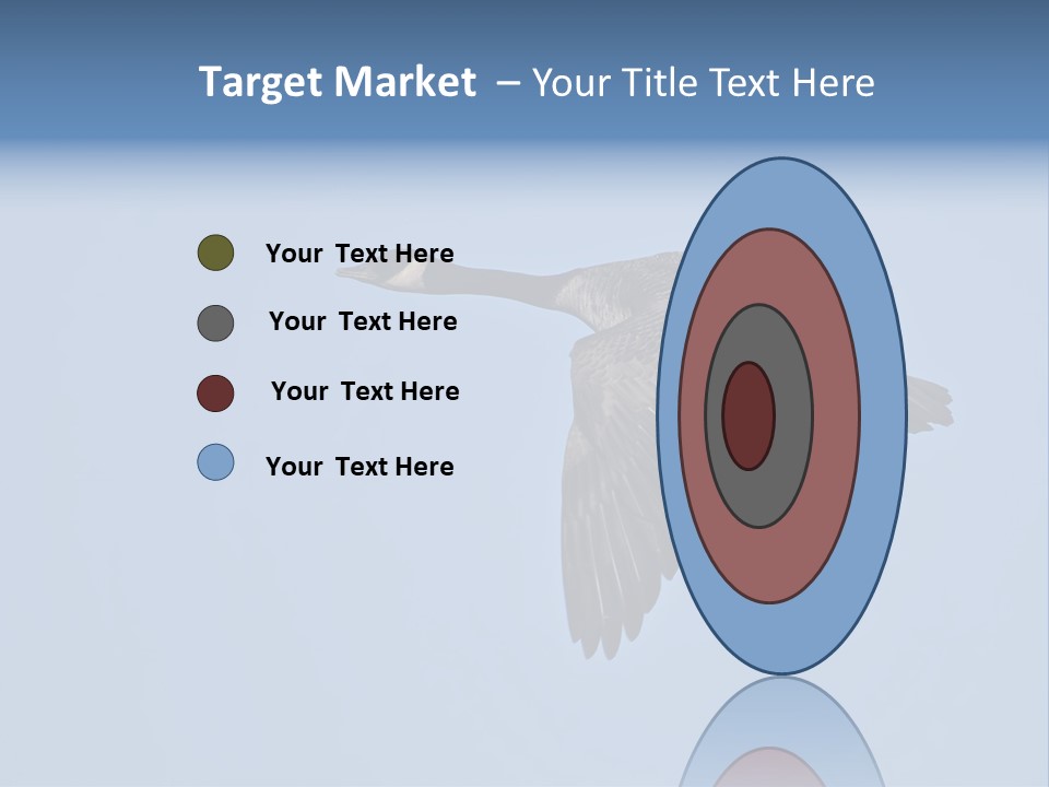 Animal Photography Canada Goose Brown PowerPoint Template