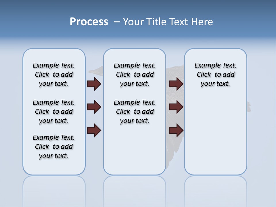 Animal Photography Canada Goose Brown PowerPoint Template