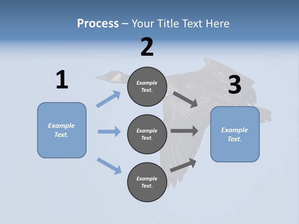 Animal Photography Canada Goose Brown PowerPoint Template