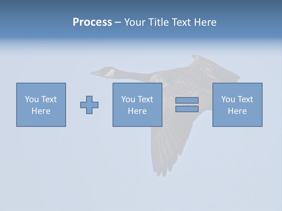 Animal Photography Canada Goose Brown PowerPoint Template