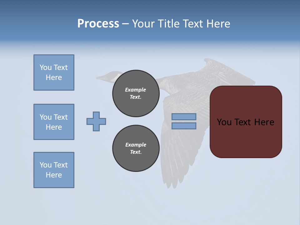 Animal Photography Canada Goose Brown PowerPoint Template