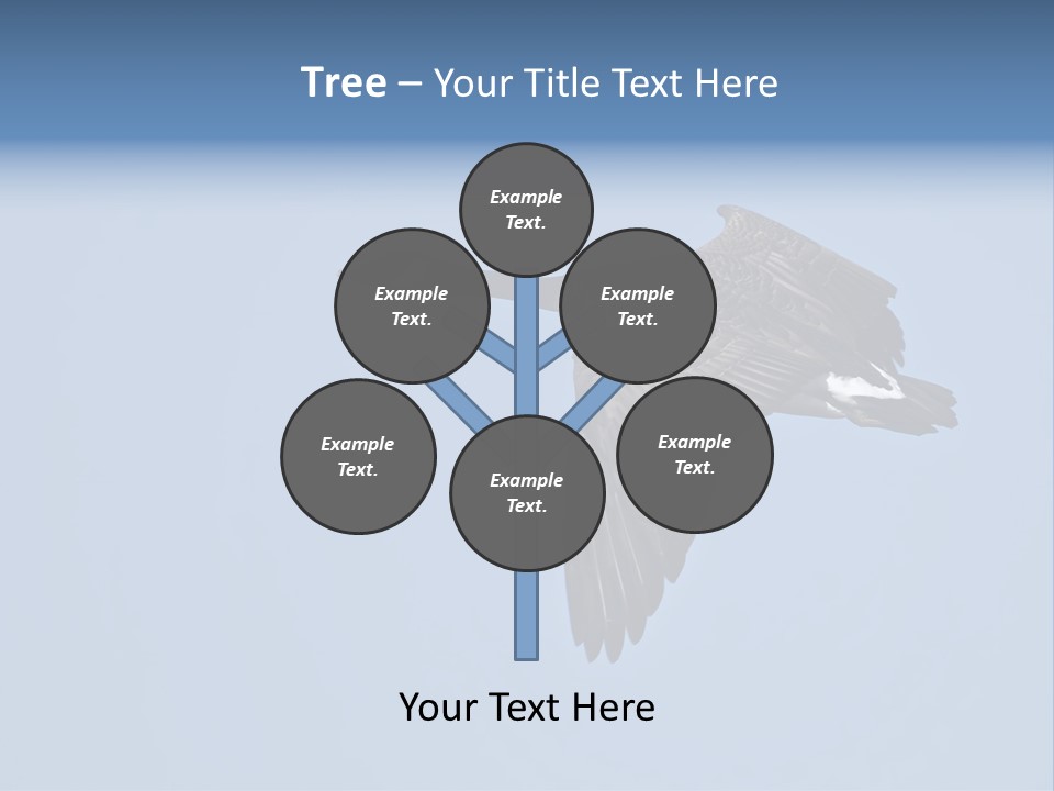 Animal Photography Canada Goose Brown PowerPoint Template