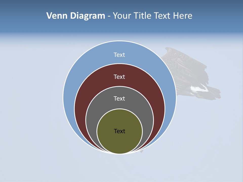 Animal Photography Canada Goose Brown PowerPoint Template