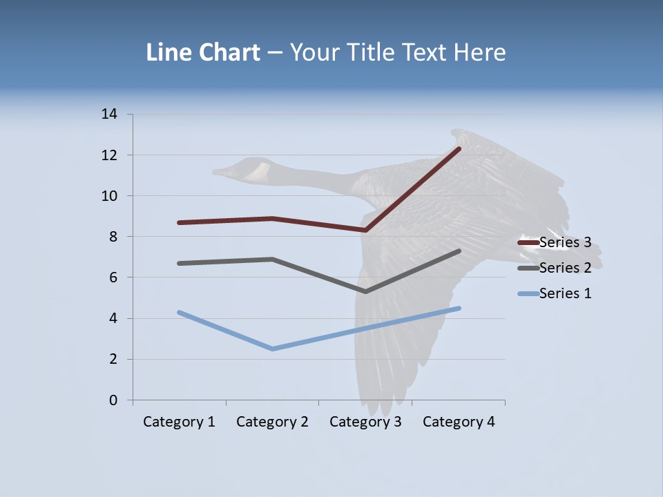 Animal Photography Canada Goose Brown PowerPoint Template