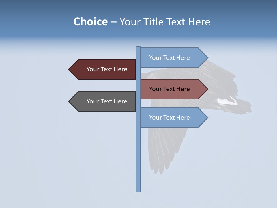 Animal Photography Canada Goose Brown PowerPoint Template