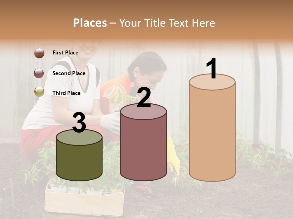 Transplantation Spade Hoe PowerPoint Template