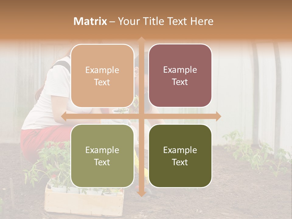 Transplantation Spade Hoe PowerPoint Template