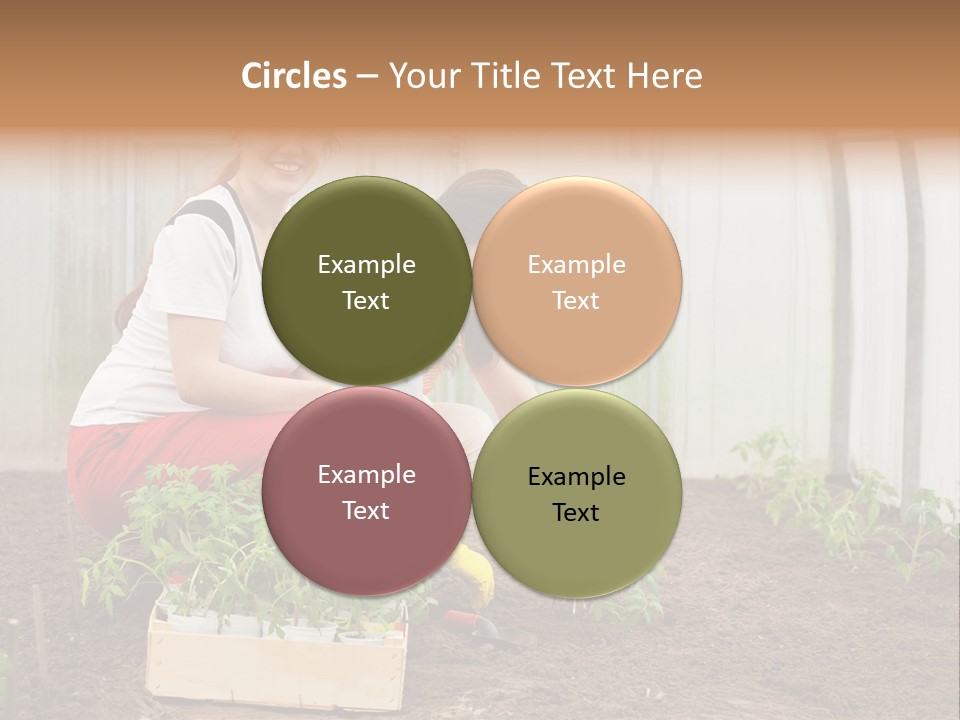 Transplantation Spade Hoe PowerPoint Template