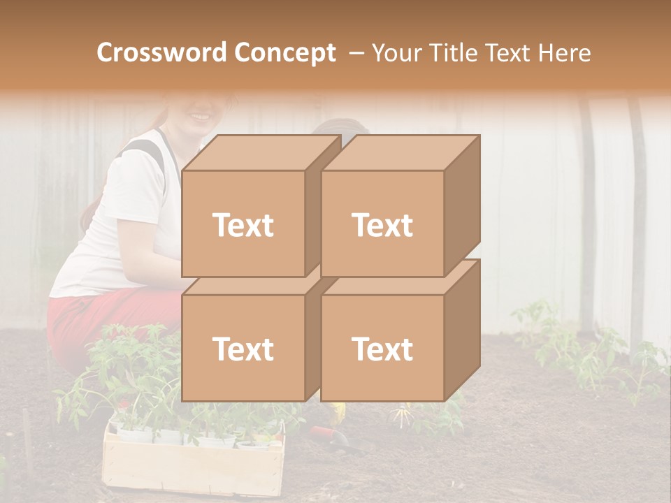 Transplantation Spade Hoe PowerPoint Template