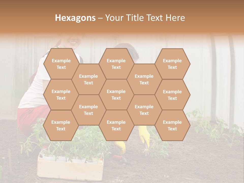 Transplantation Spade Hoe PowerPoint Template