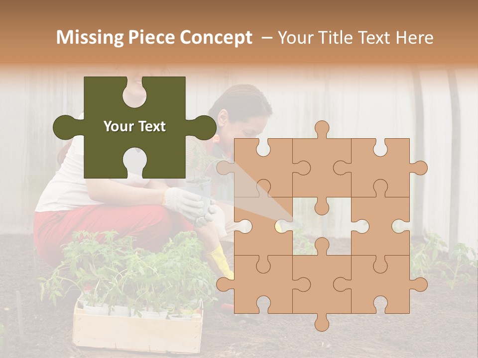 Transplantation Spade Hoe PowerPoint Template