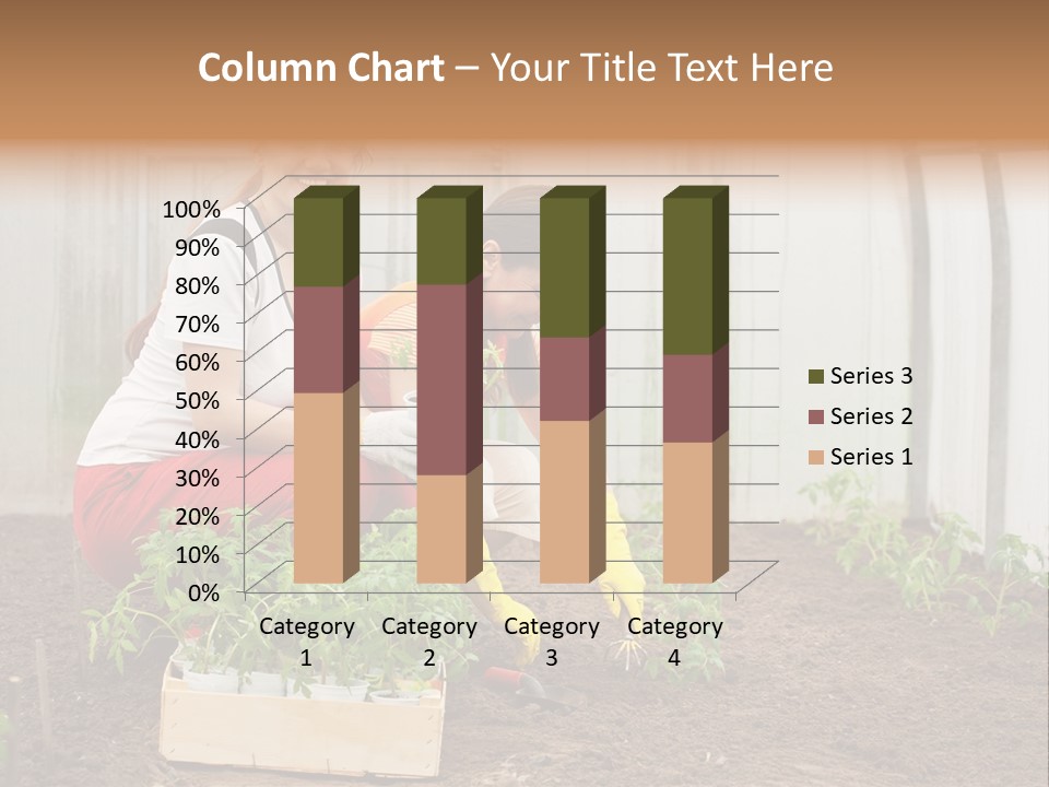 Transplantation Spade Hoe PowerPoint Template