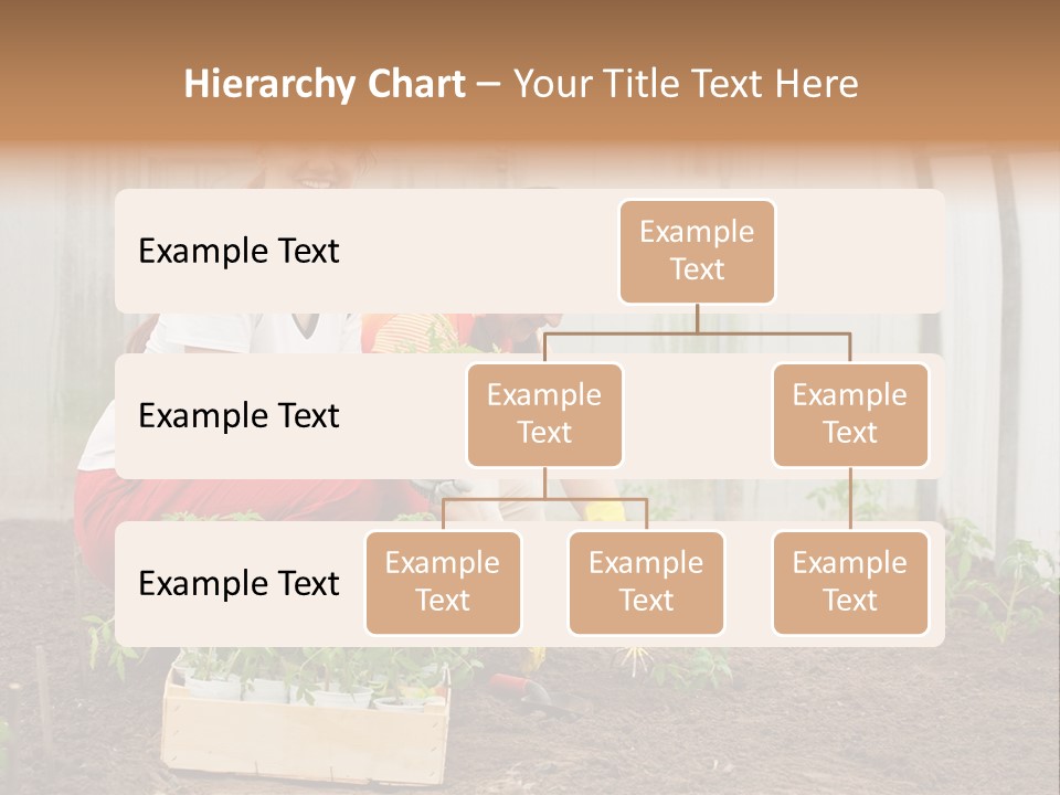 Transplantation Spade Hoe PowerPoint Template