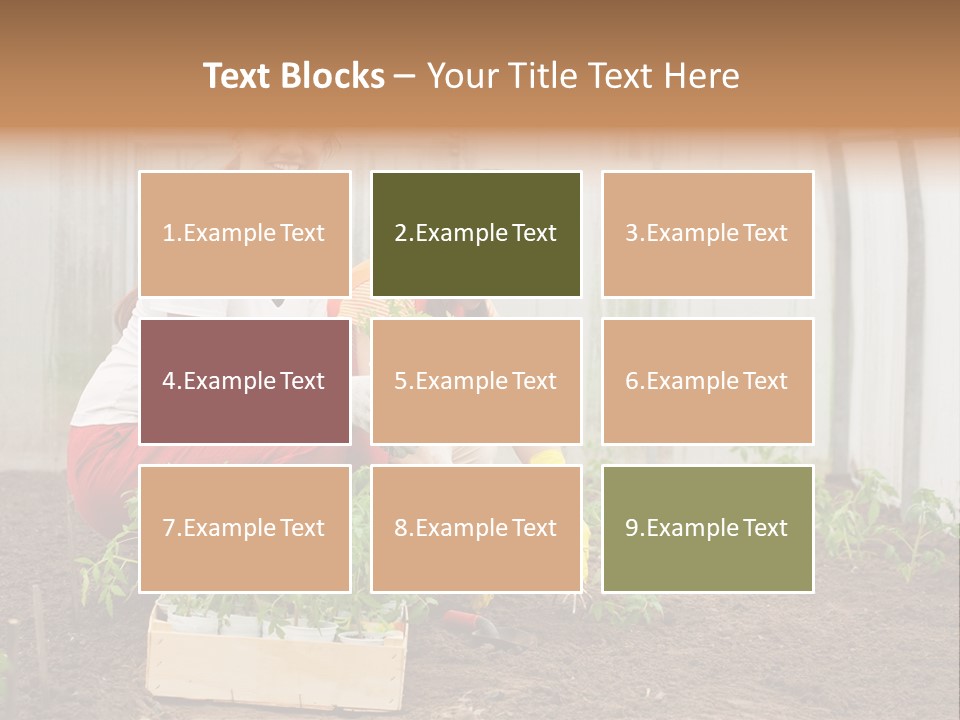Transplantation Spade Hoe PowerPoint Template