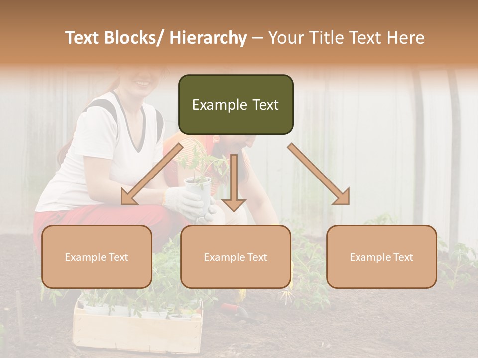 Transplantation Spade Hoe PowerPoint Template