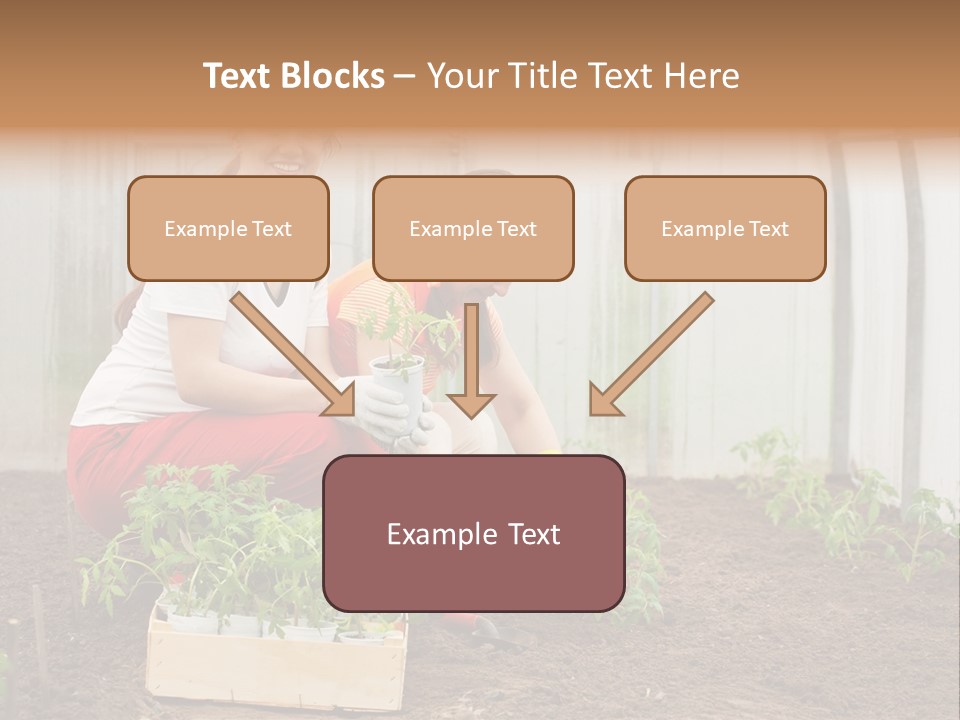 Transplantation Spade Hoe PowerPoint Template