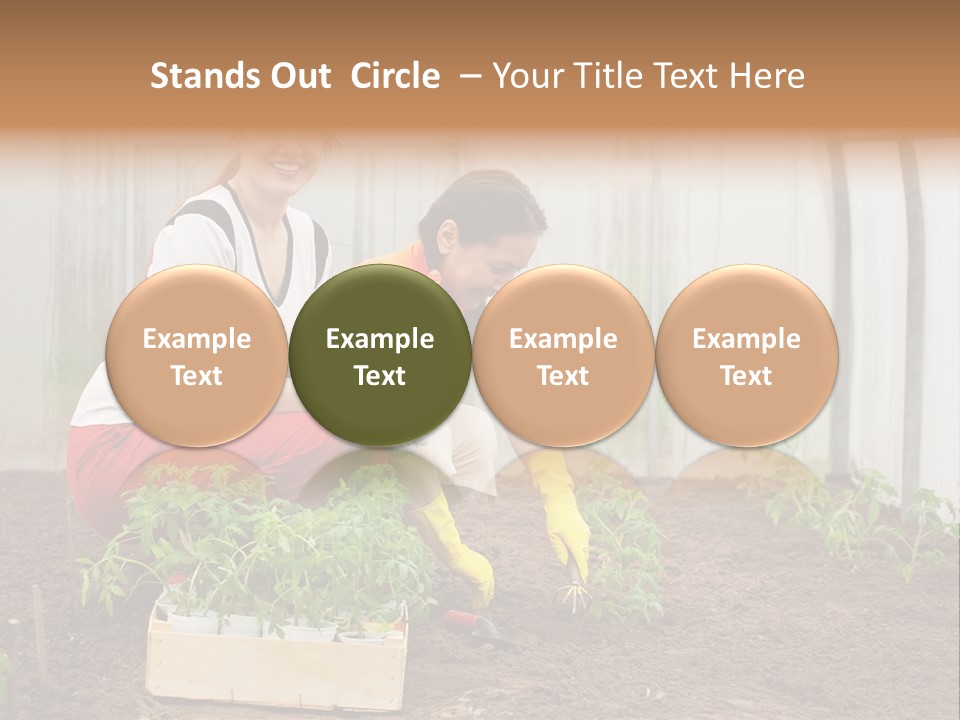 Transplantation Spade Hoe PowerPoint Template