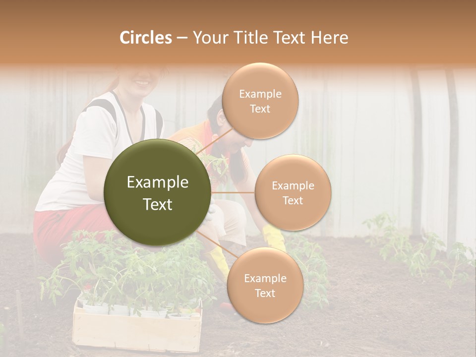 Transplantation Spade Hoe PowerPoint Template