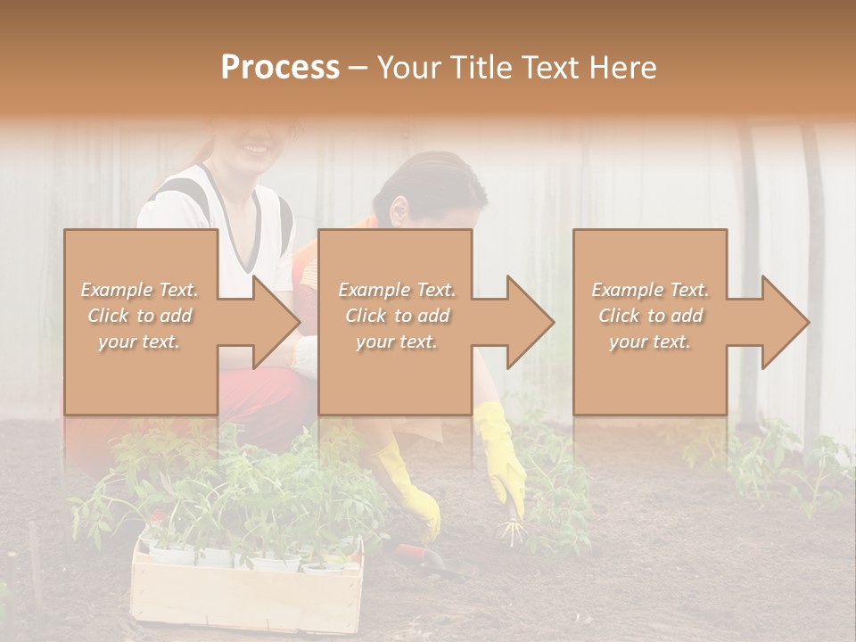 Transplantation Spade Hoe PowerPoint Template