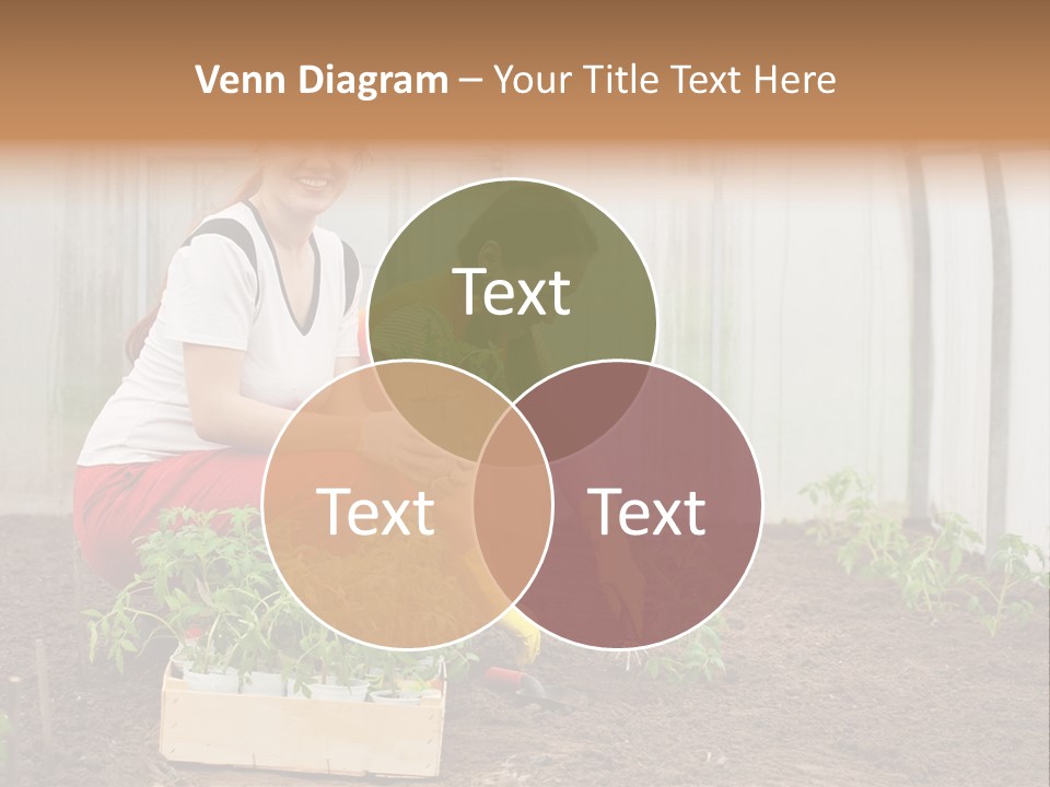 Transplantation Spade Hoe PowerPoint Template