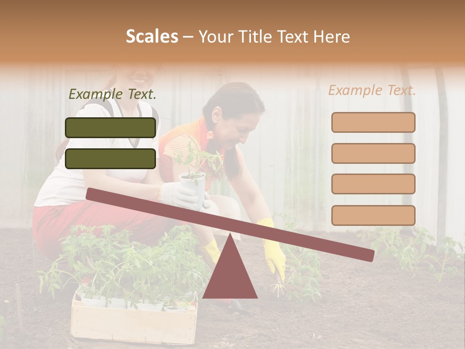 Transplantation Spade Hoe PowerPoint Template
