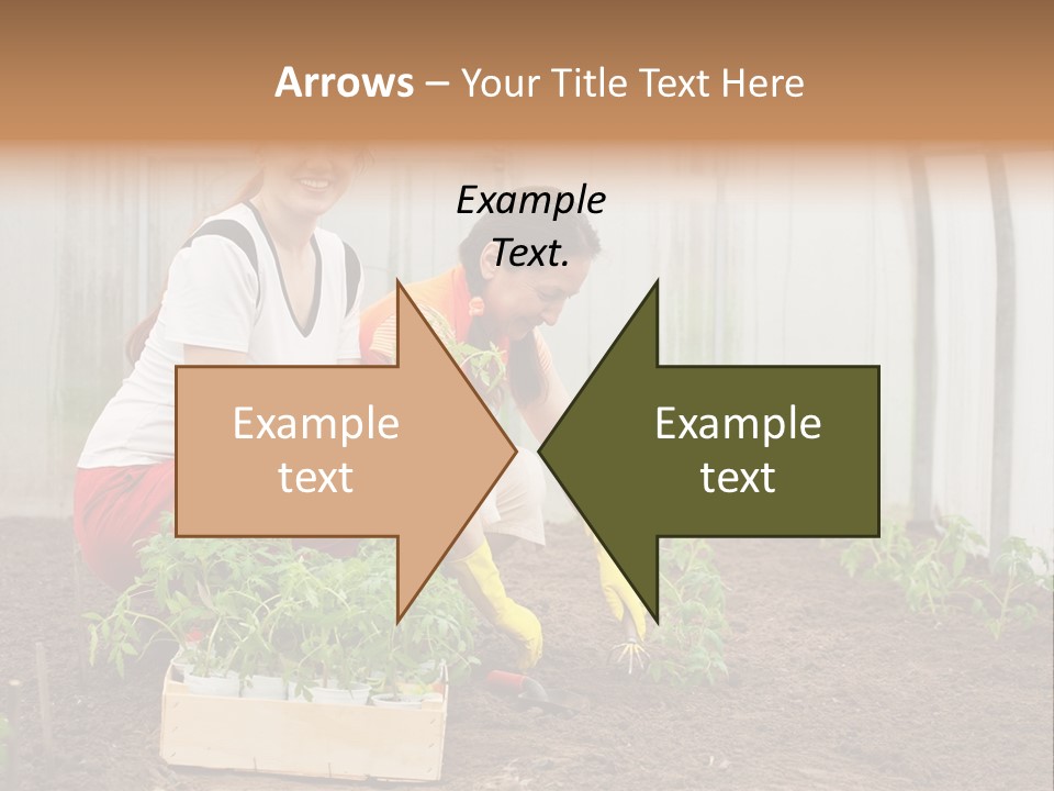 Transplantation Spade Hoe PowerPoint Template