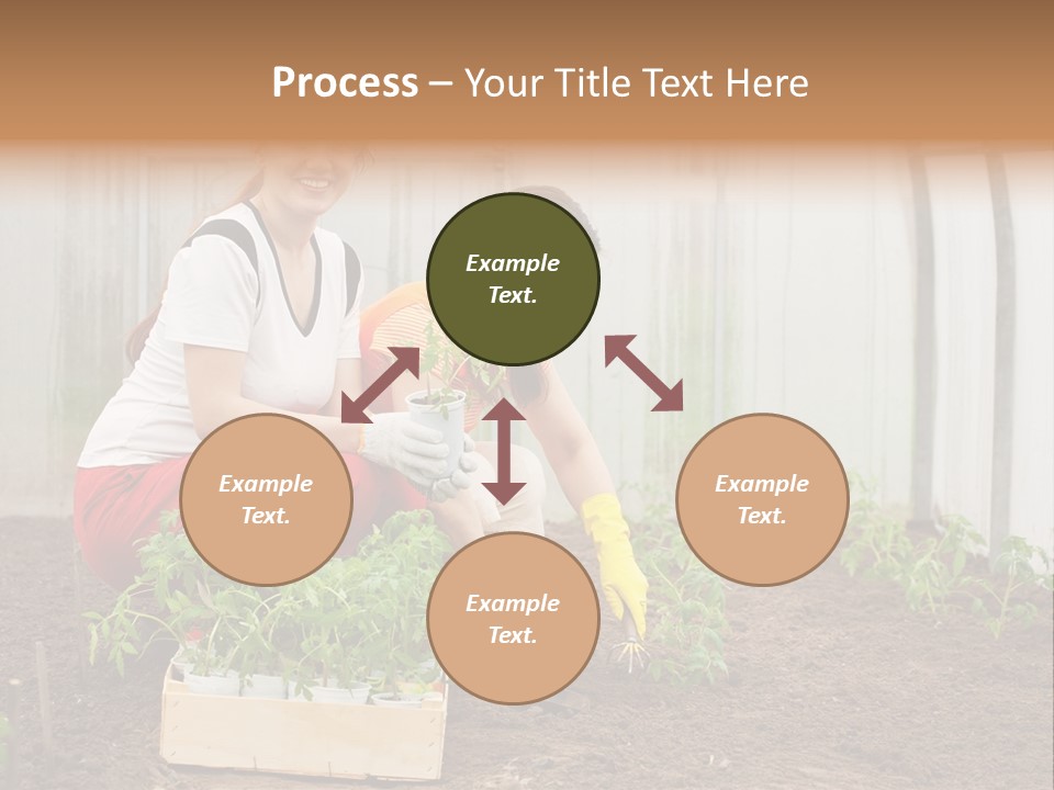 Transplantation Spade Hoe PowerPoint Template