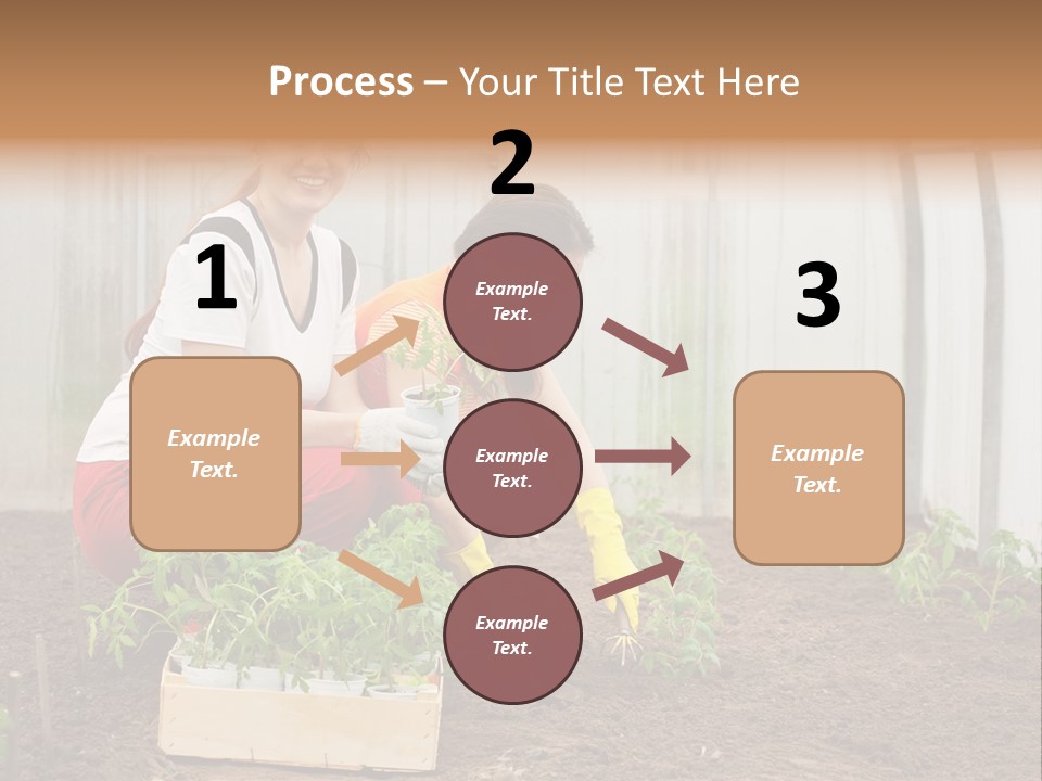 Transplantation Spade Hoe PowerPoint Template