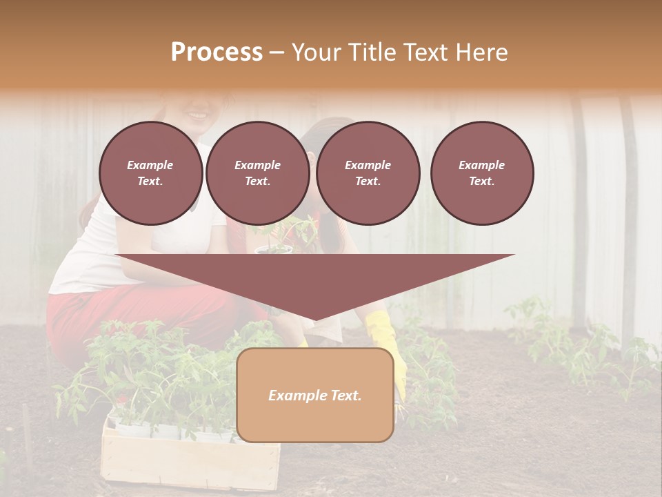 Transplantation Spade Hoe PowerPoint Template