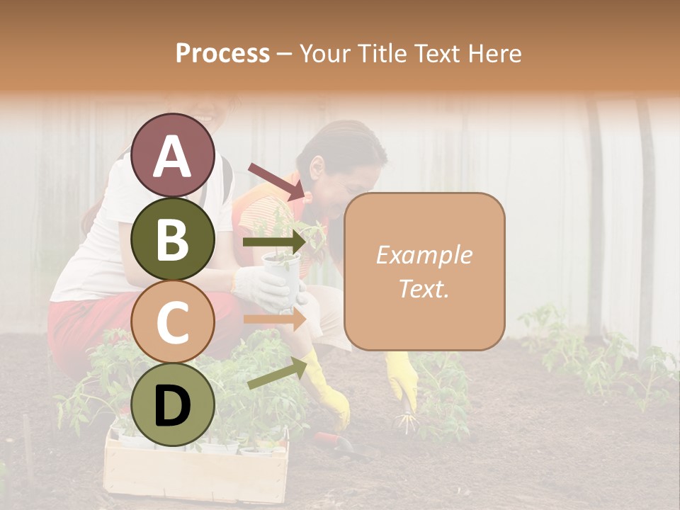 Transplantation Spade Hoe PowerPoint Template