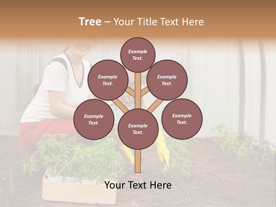 Transplantation Spade Hoe PowerPoint Template