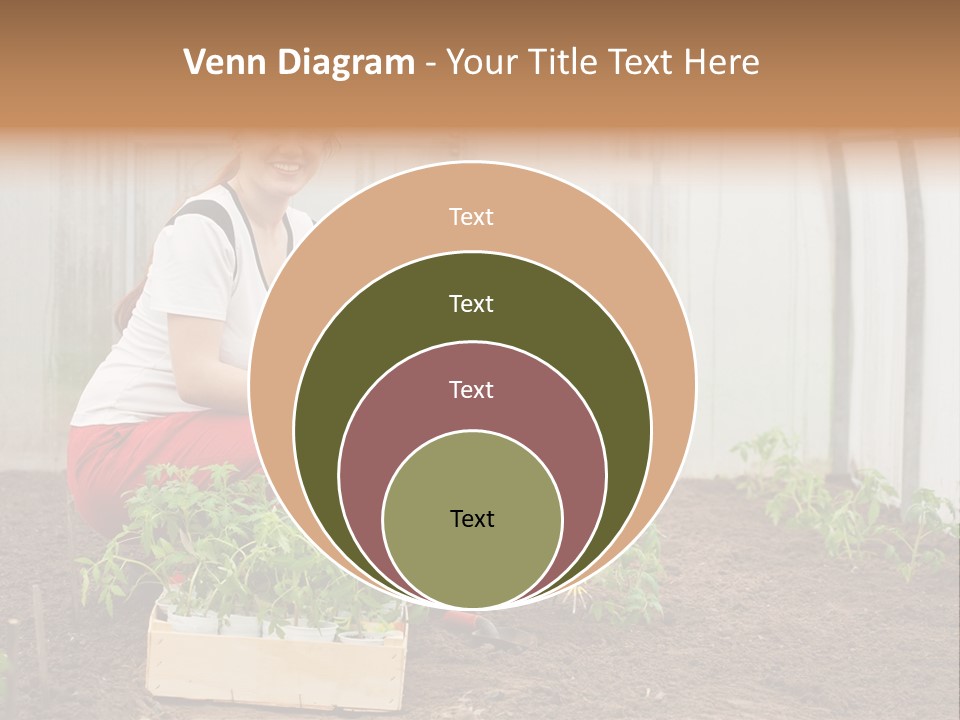 Transplantation Spade Hoe PowerPoint Template