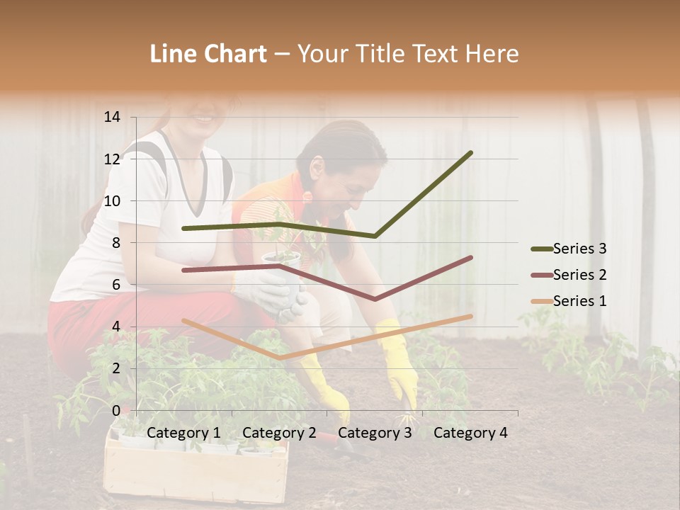 Transplantation Spade Hoe PowerPoint Template