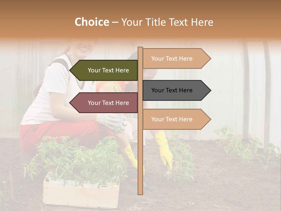 Transplantation Spade Hoe PowerPoint Template