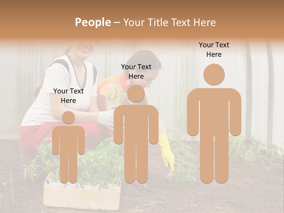 Transplantation Spade Hoe PowerPoint Template