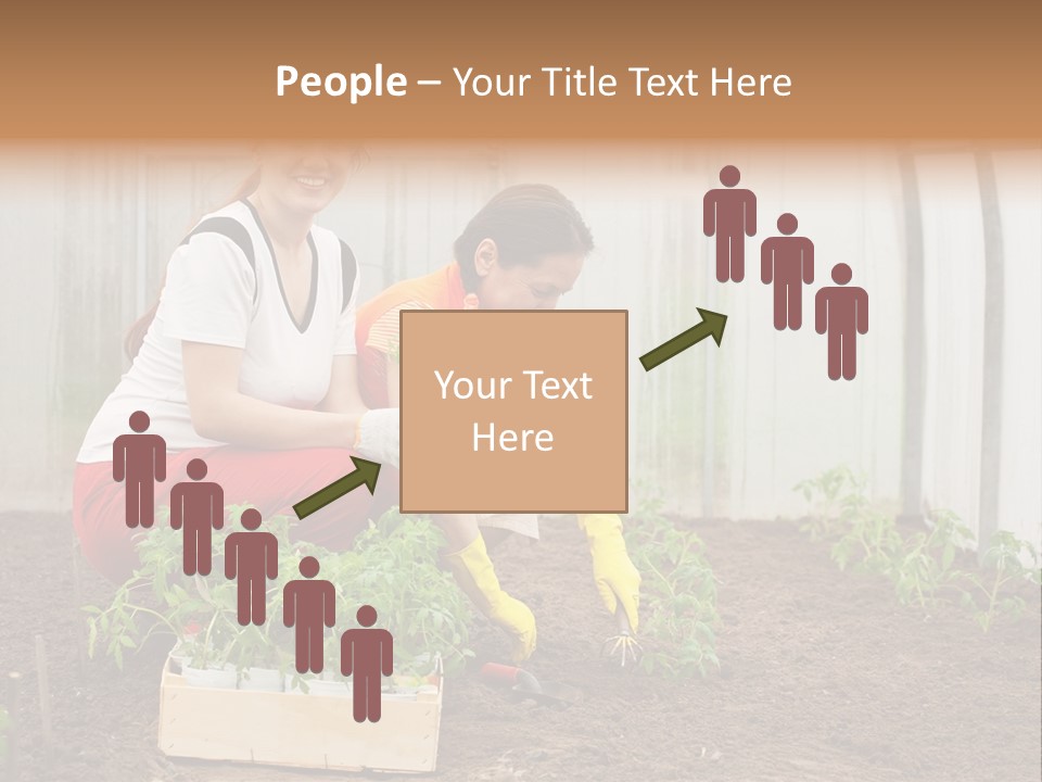 Transplantation Spade Hoe PowerPoint Template