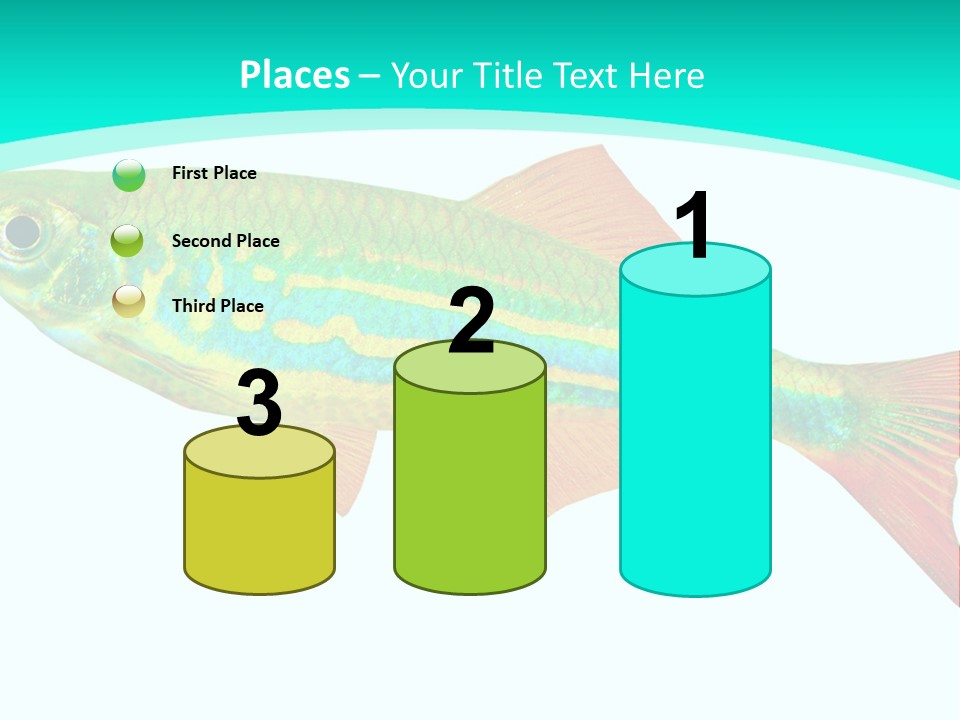 Swimming Design Elements Marinelife PowerPoint Template