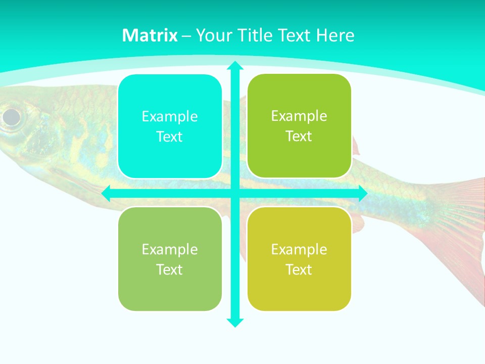 Swimming Design Elements Marinelife PowerPoint Template
