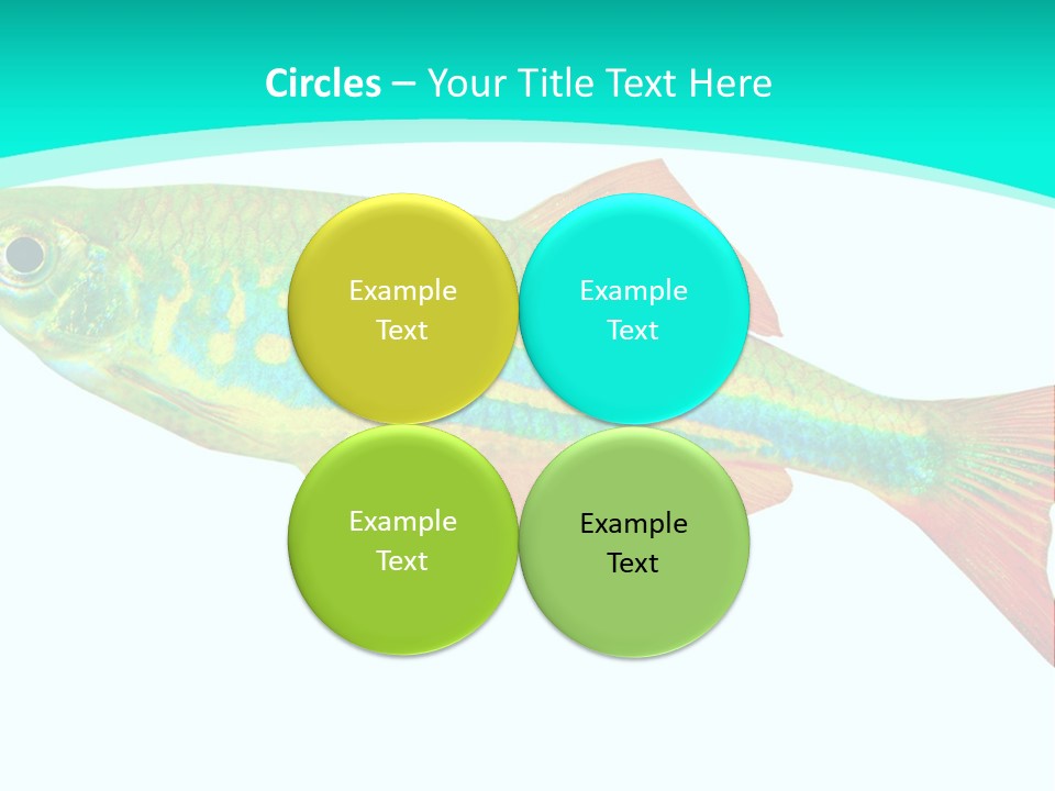 Swimming Design Elements Marinelife PowerPoint Template