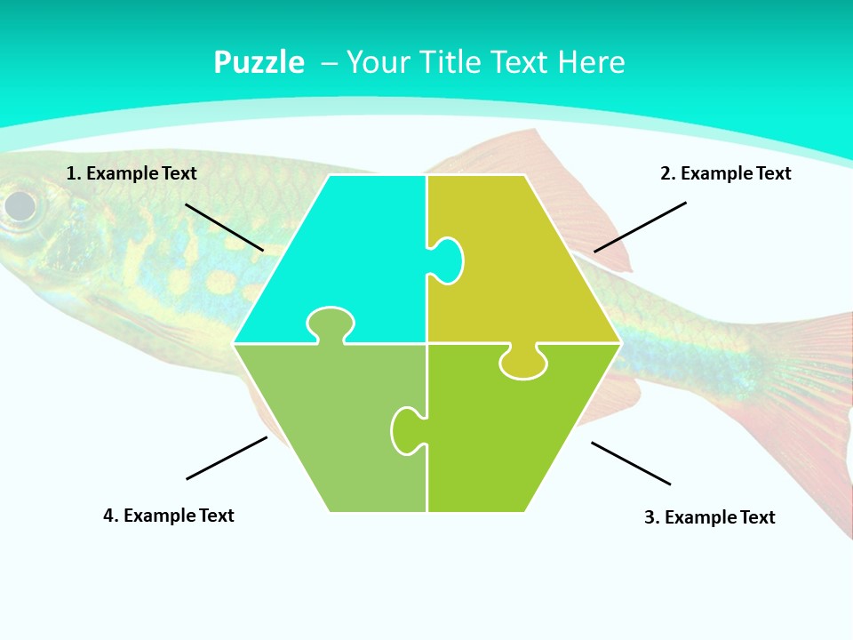 Swimming Design Elements Marinelife PowerPoint Template